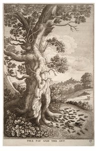De vlieg en de mier door Wenceslaus Hollar
